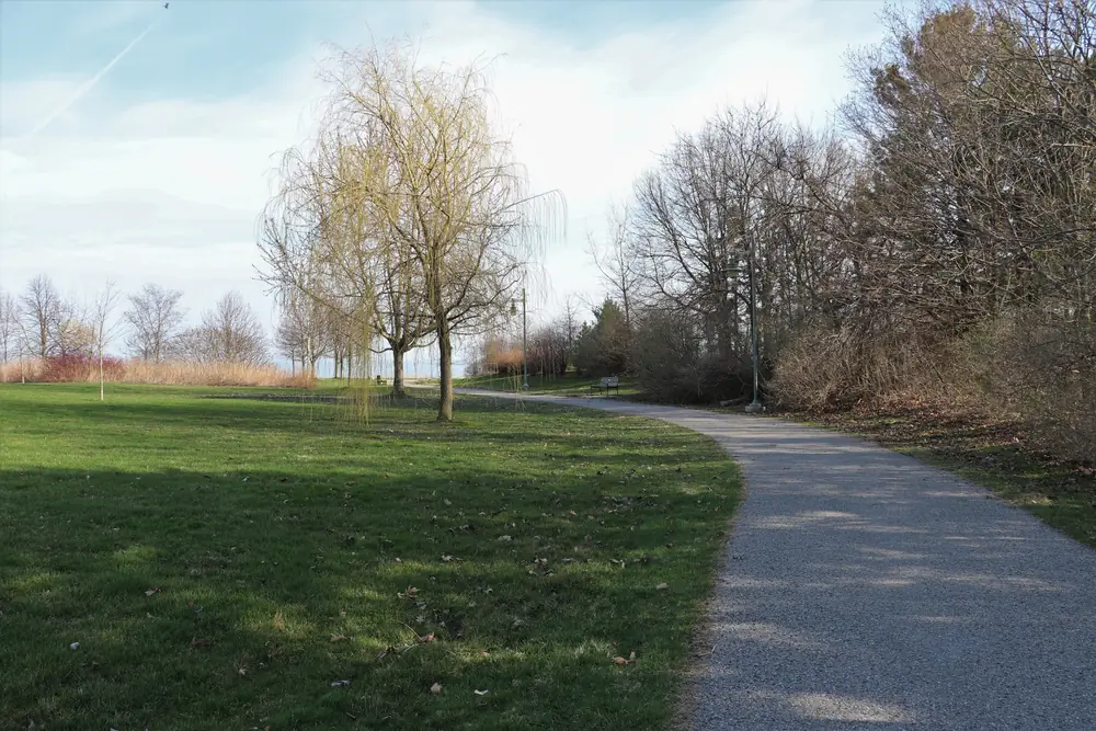 A paved path winding through lawns and willow trees at Waterfront Park in Ajax in spring