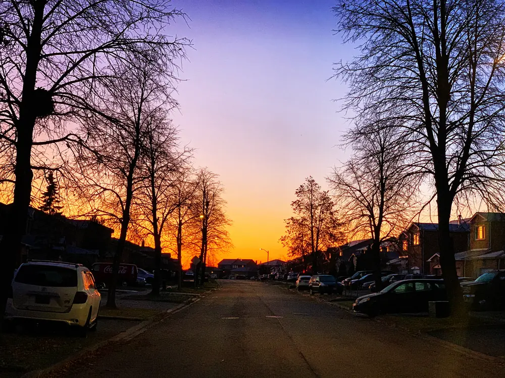 A residential street in Brampton at dawn, with bare trees silhouetted against an orange sky