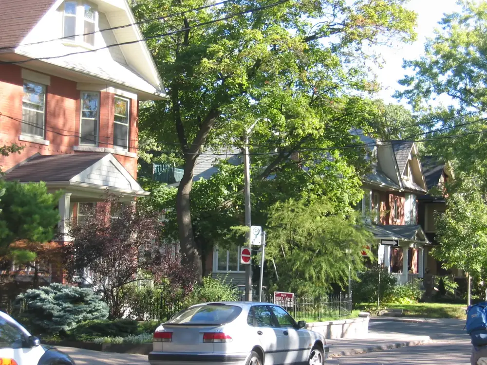 Brick houses with front gardens under tall trees on Carlaw Avenue, just south of the Danforth, Toronto