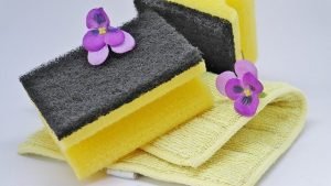 yellow sponges