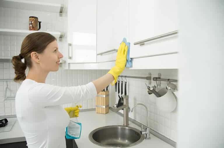 Regular Maid Cleaning Service
