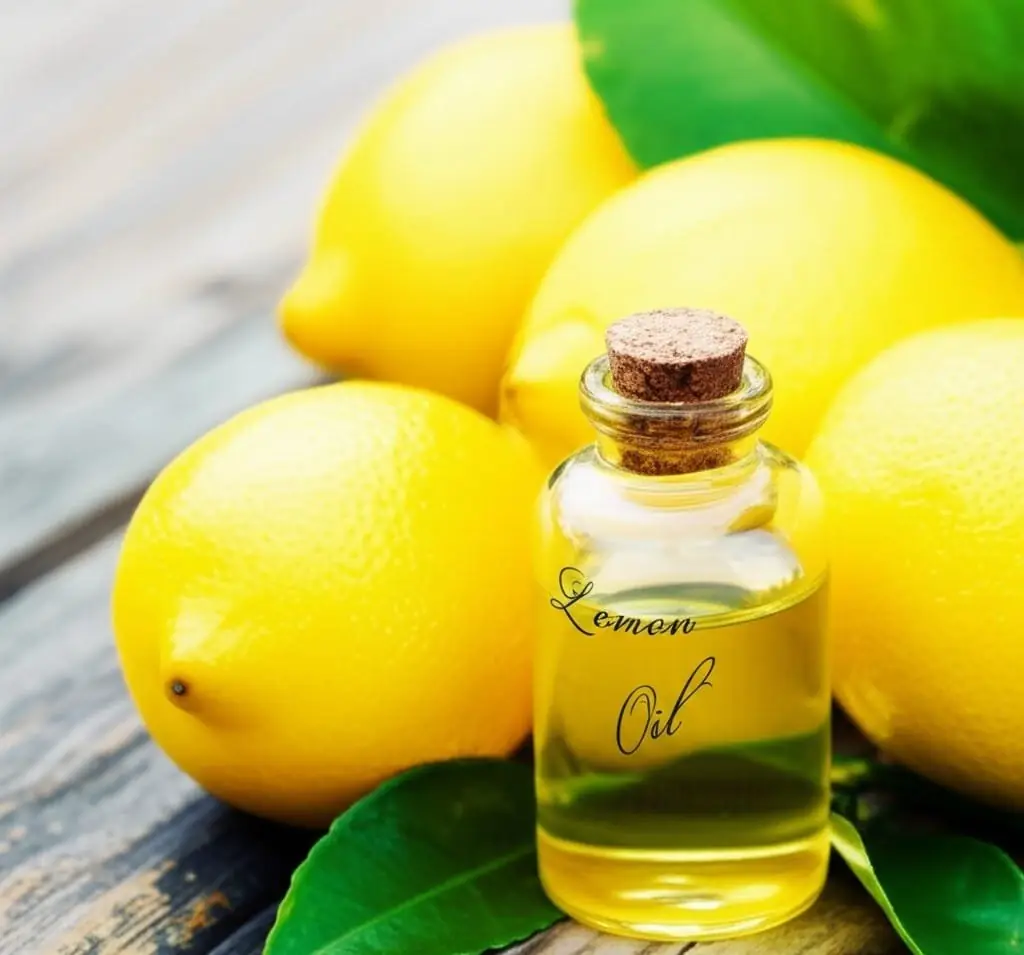 Small corked bottle of lemon oil surrounded by fresh lemons