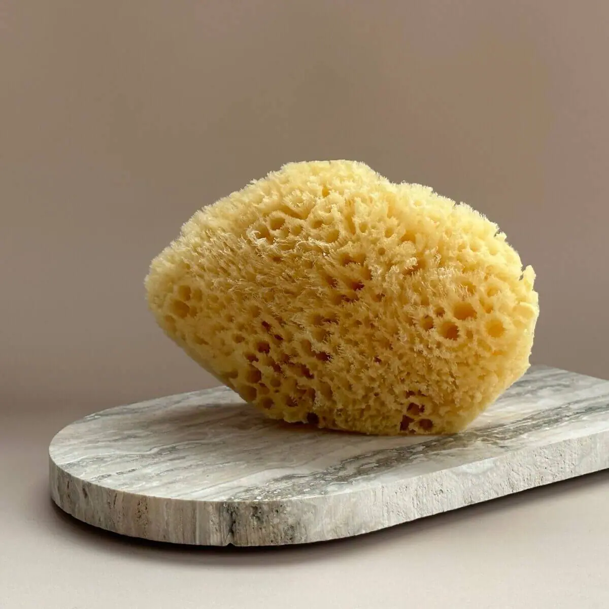 Natural Sea Sponge