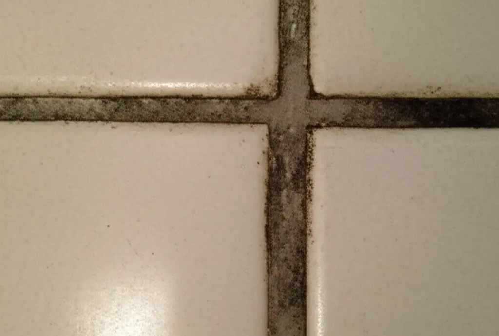 Close-up of dark, grimy grout lines between white floor tiles