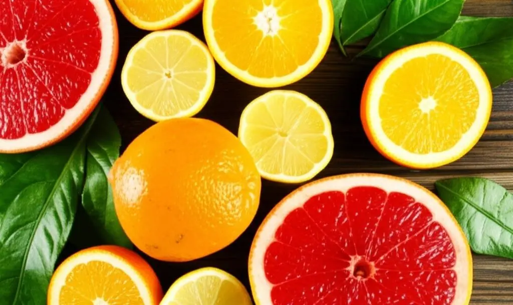 Halved oranges, lemons and grapefruits arranged with green leaves