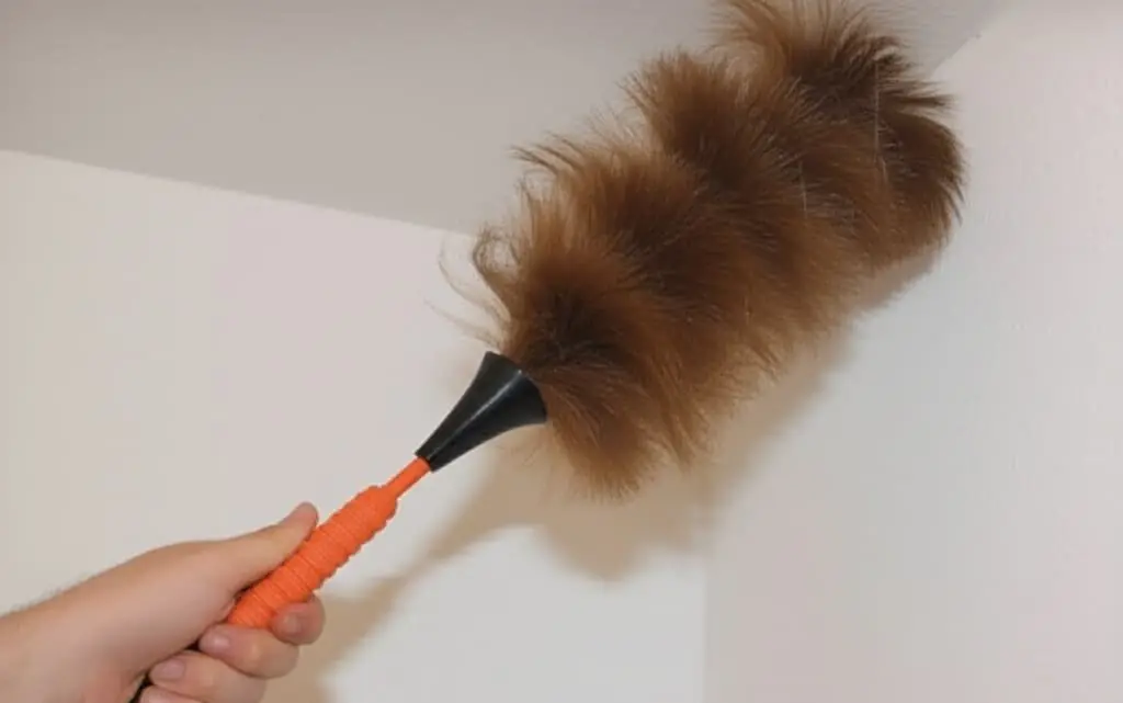 removing spider webs with a duster
