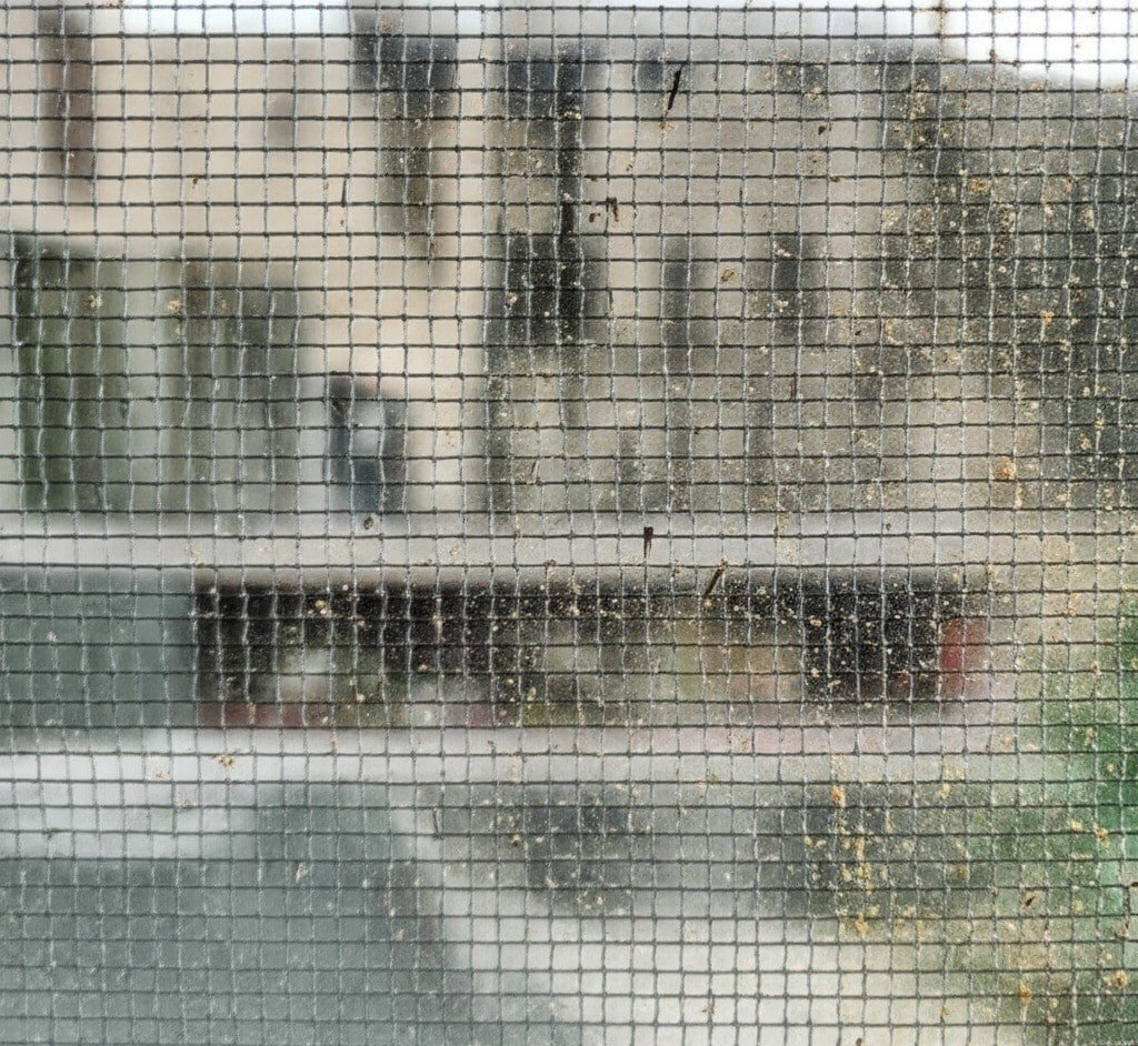 window screen with pollen, spider webs and dirt