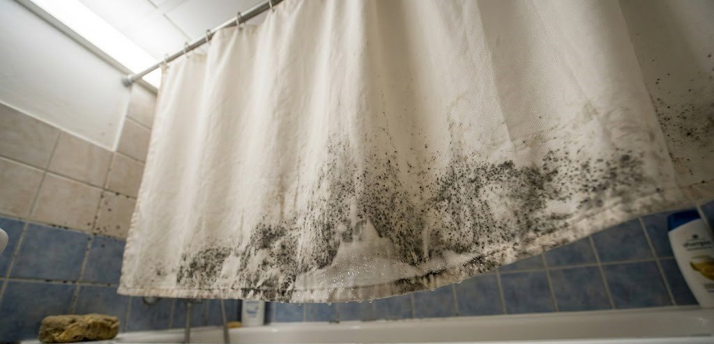 shower curtain with mold